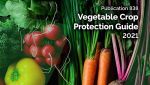 Vegetable crop guide