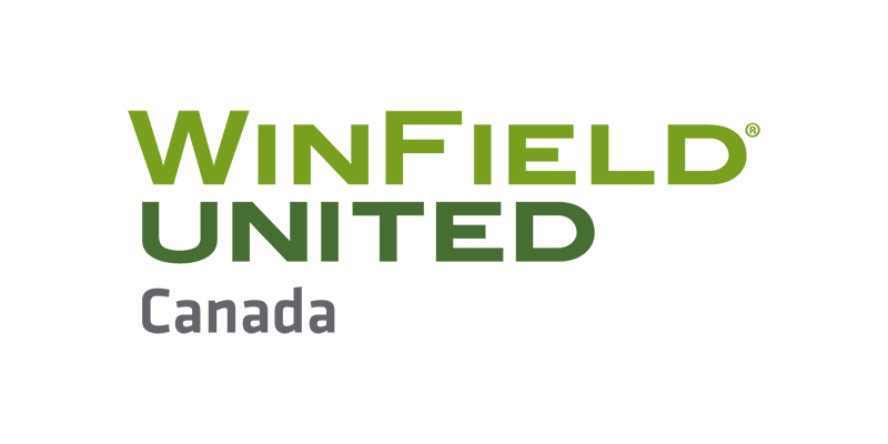 Winfield logo in green