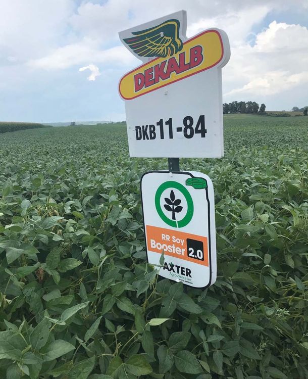 Dekalb sign in field of soybeans