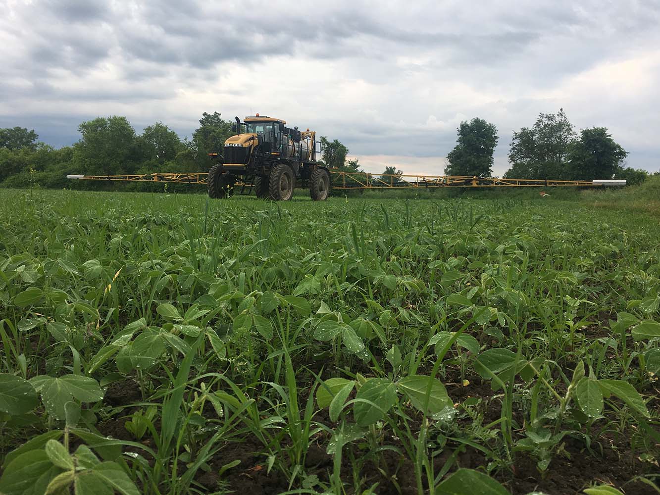 Rogator 1 TCO Agromart Ltd