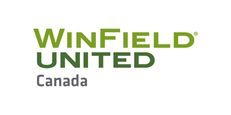 Winfield logo in green