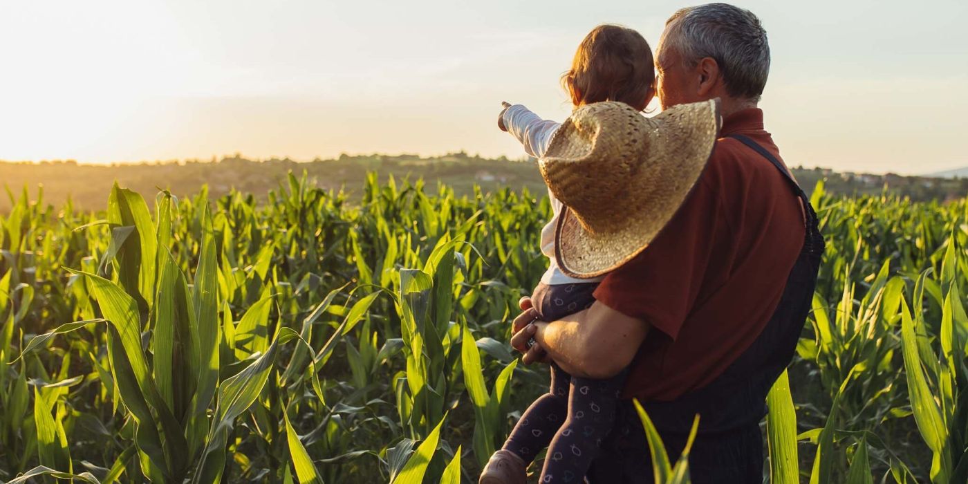 Farming and Son looking over farm field