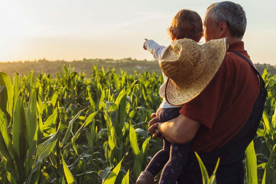 Farming and Son looking over farm field