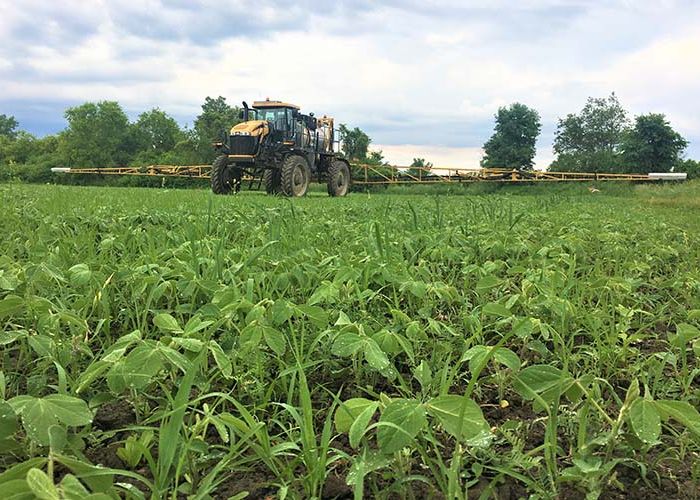 Fertilizer equipment working on crop
