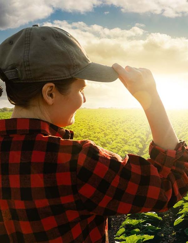 Farmer overlooking field