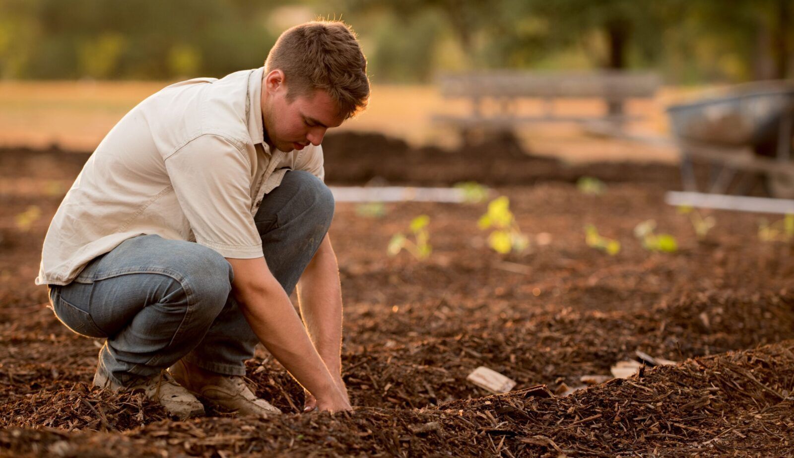 farmer stock photo man planting