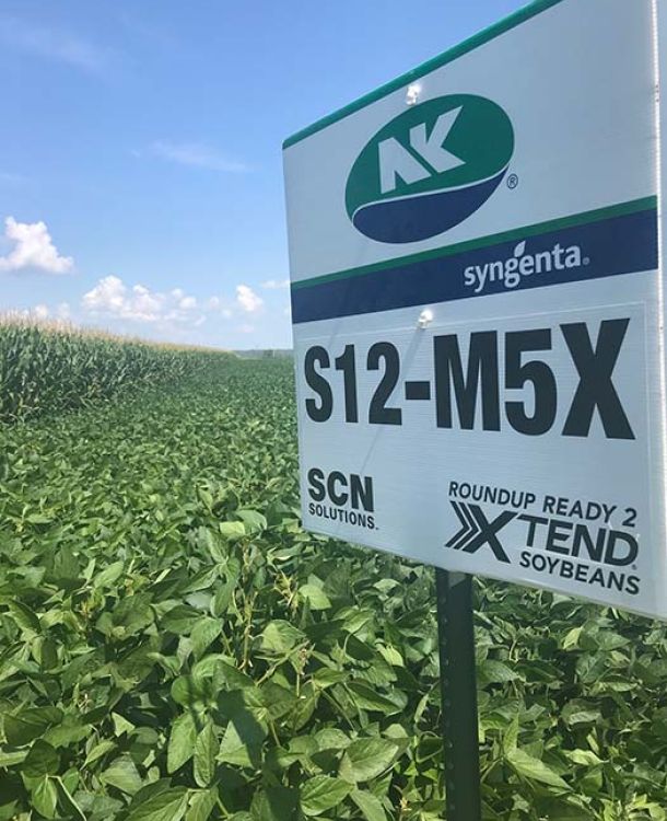 photo of NK Seeds sign near green crop